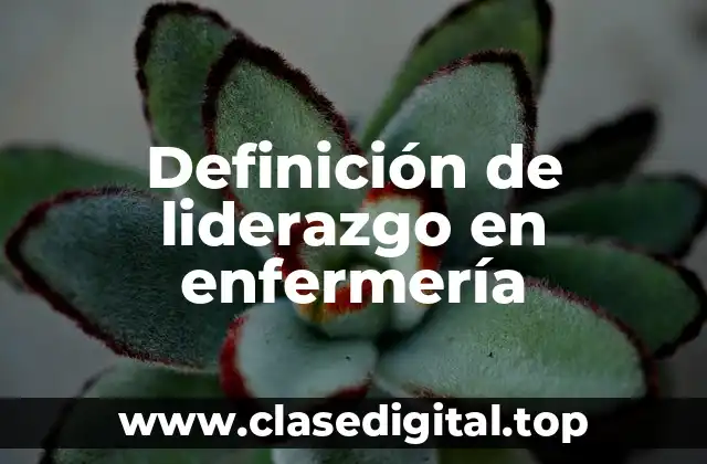 Definición de liderazgo en enfermería