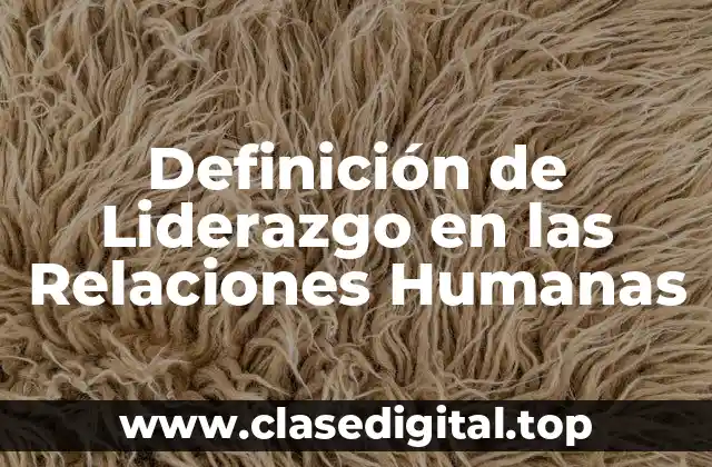 Definición de Liderazgo en las Relaciones Humanas