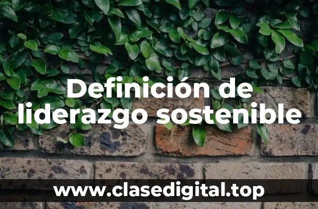 Definición de liderazgo sostenible