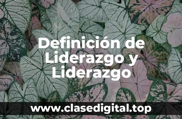Definición de Liderazgo y Liderazgo