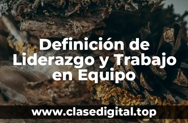 Definición de Liderazgo y Trabajo en Equipo