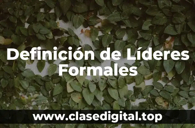 Ejemplos de Líderes Formales