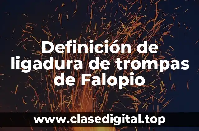 Definición de ligadura de trompas de Falopio