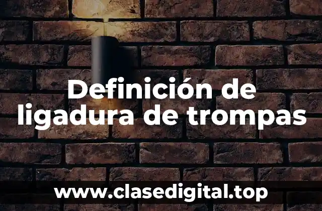 Definición de ligadura de trompas