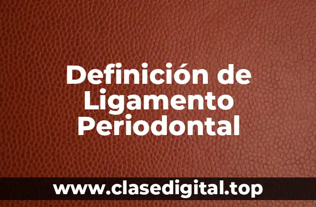 📗 Definición técnica de Ligamento Periodontal