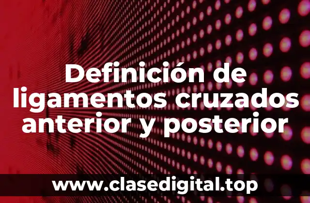 Definición de ligamentos cruzados anterior y posterior