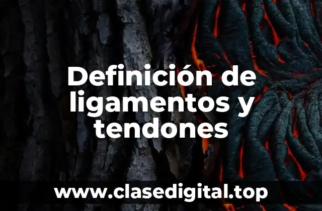 Definición de ligamentos y tendones
