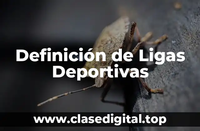 Definición de Ligas Deportivas