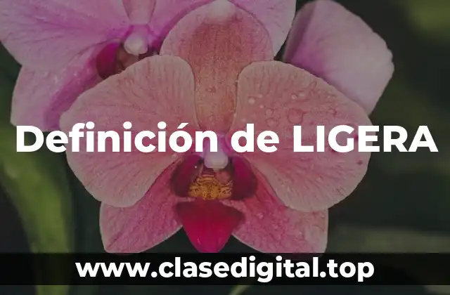 Definición de LIGERA