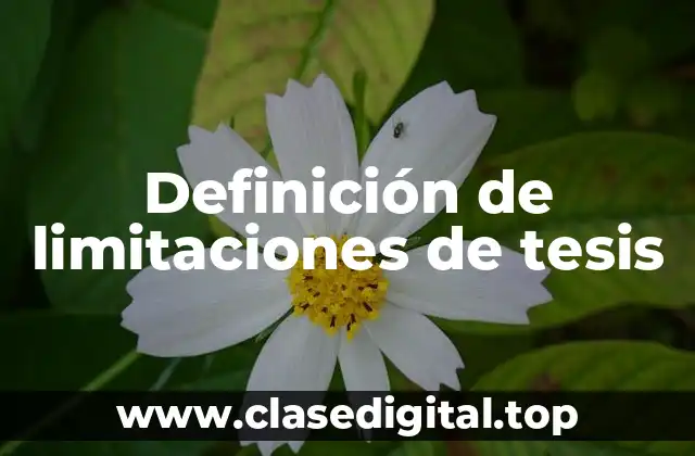 Definición de limitaciones de tesis