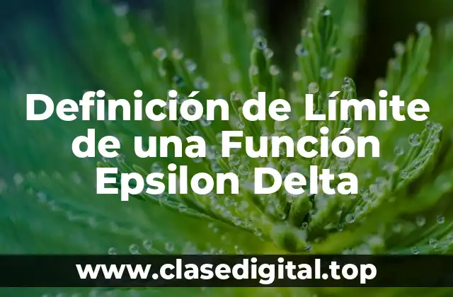 Definición de Límite de una Función Epsilon Delta