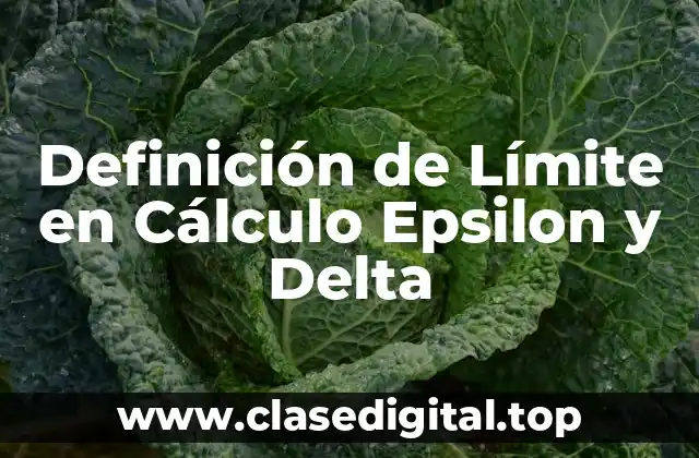 Definición de Límite en Cálculo Epsilon y Delta