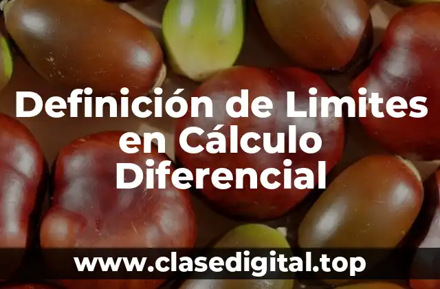 Definición de Limites en Cálculo Diferencial