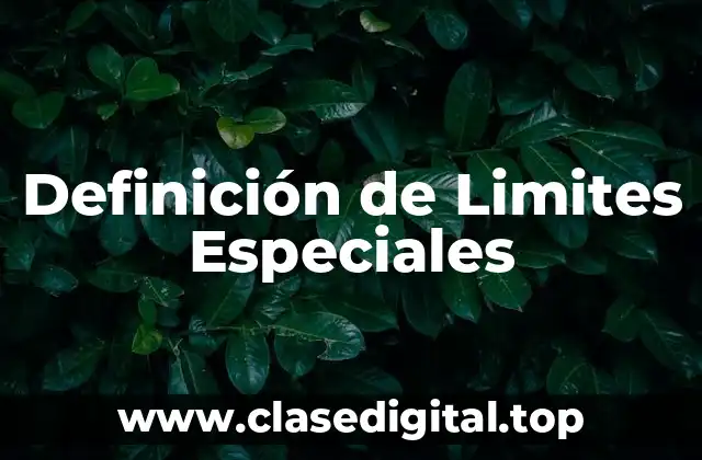📗 Definición técnica de Límite Especial
