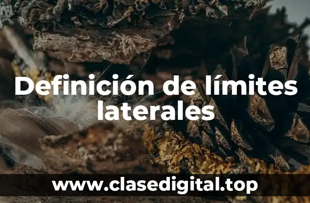 Definición de límites laterales