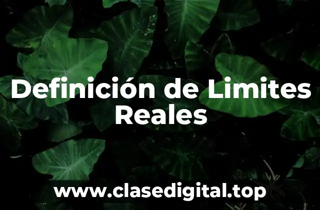 📗 Definición Técnica de Limites Reales