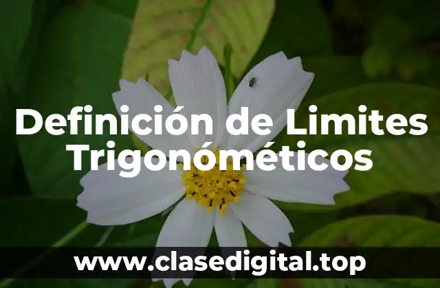 Definición de Limites Trigonóméticos