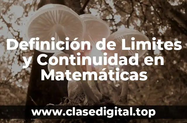 Definición de Limites y Continuidad en Matemáticas
