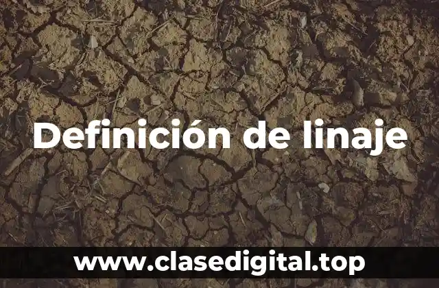 Definición de linaje