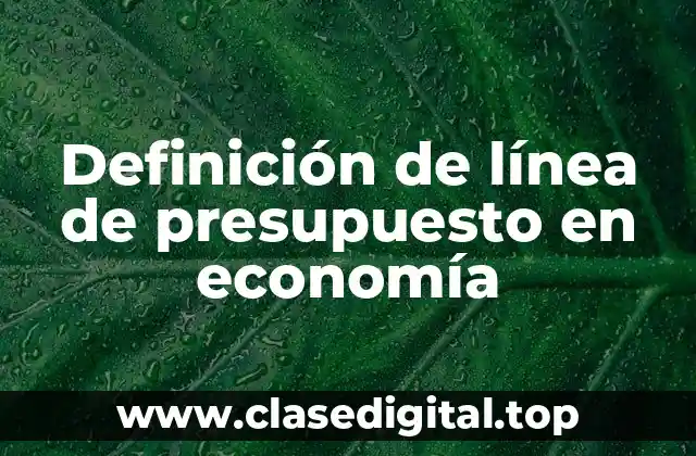 Definición de línea de presupuesto en economía