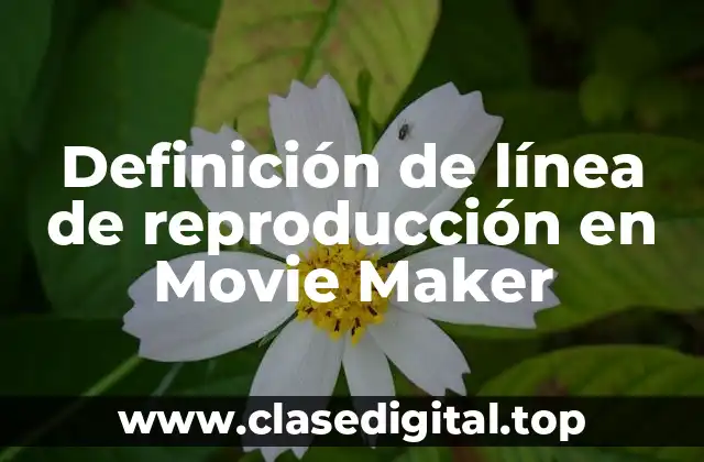Definición de línea de reproducción en Movie Maker