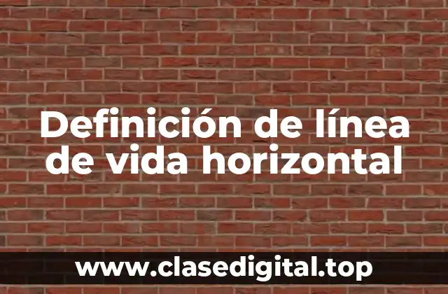 Definición de línea de vida horizontal