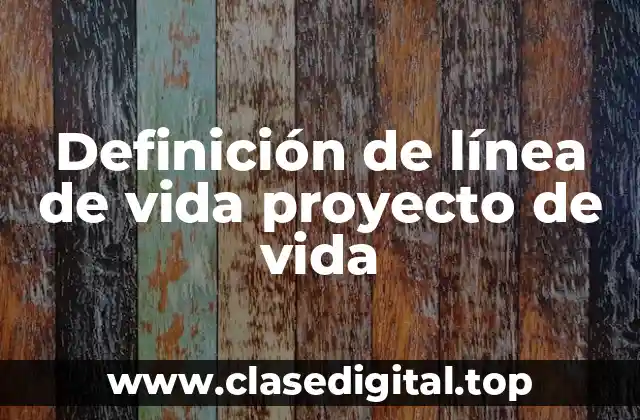 Definición de línea de vida proyecto de vida