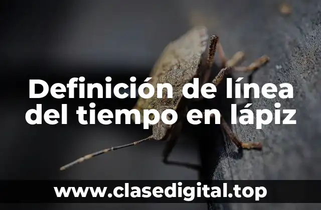 Definición de línea del tiempo en lápiz
