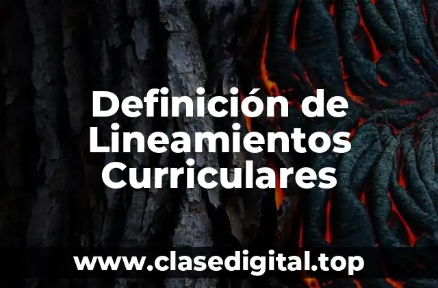 Definición de Lineamientos Curriculares