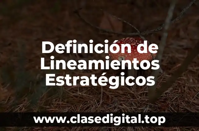 📗 Definición Técnica de Lineamientos Estratégicos