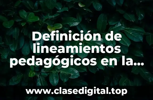 Ejemplos de lineamientos pedagógicos en la materia de inglés