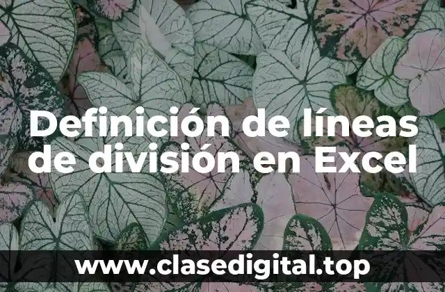 📗 Definición técnica de líneas de división en Excel