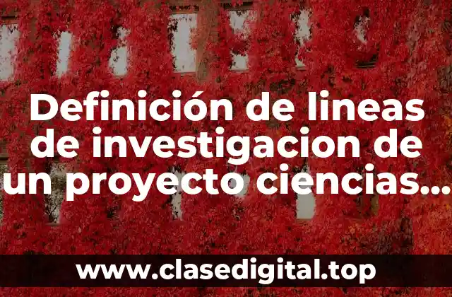 Definición de lineas de investigacion de un proyecto ciencias sociales
