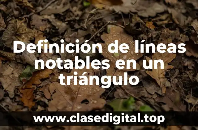 Definición de líneas notables en un triángulo