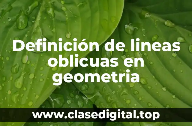 Definición de lineas oblicuas en geometria