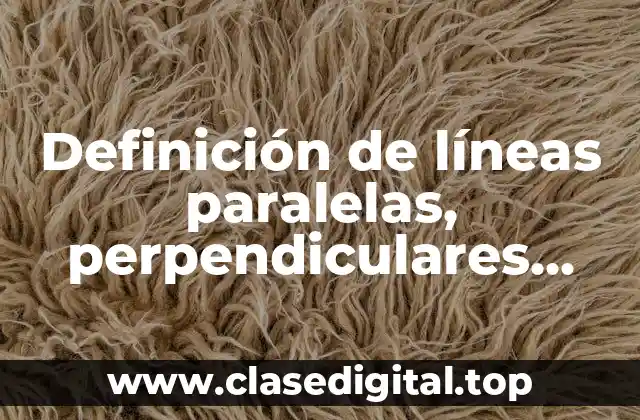 Definición de líneas paralelas, perpendiculares, secantes y oblicuas
