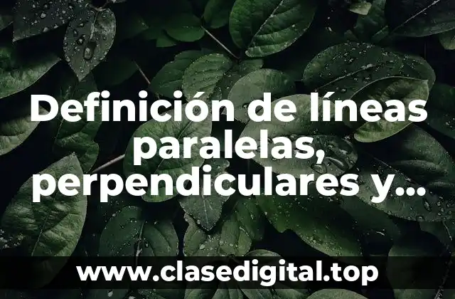 Definición de líneas paralelas, perpendiculares y oblicuas