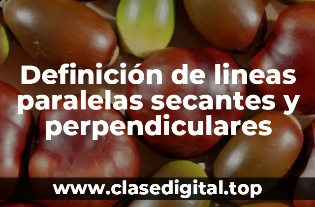 Definición de lineas paralelas secantes y perpendiculares