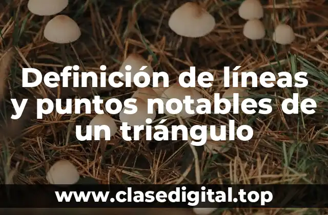 Definición de líneas y puntos notables de un triángulo