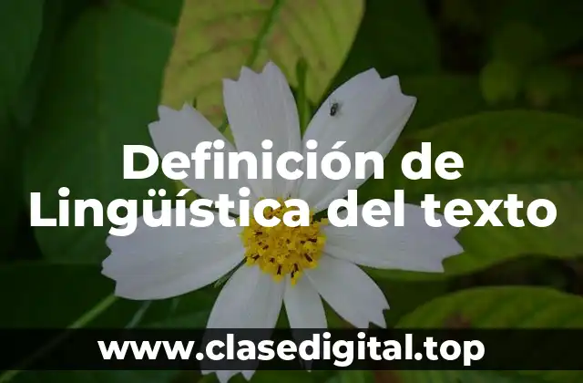 Definición de Lingüística del texto