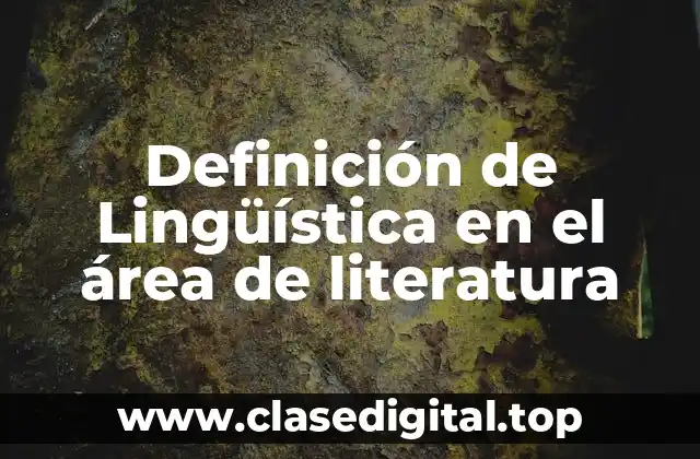 Definición de Lingüística en el área de literatura