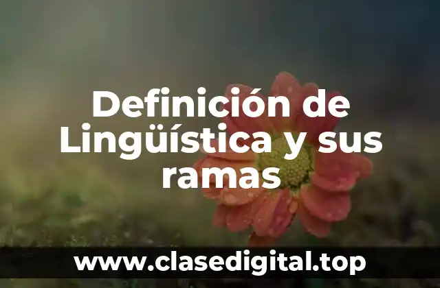 📗 Definición técnica de Lingüística