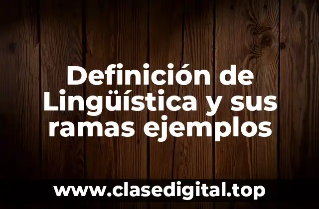 Definición de Lingüística y sus ramas ejemplos