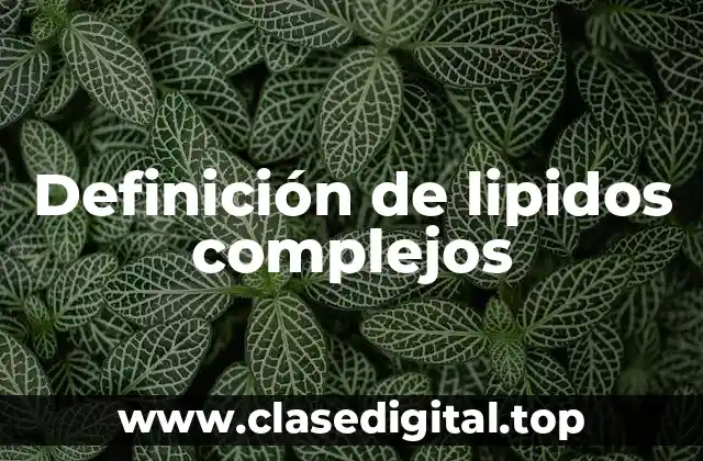 📗 Definición técnica de lipidos complejos