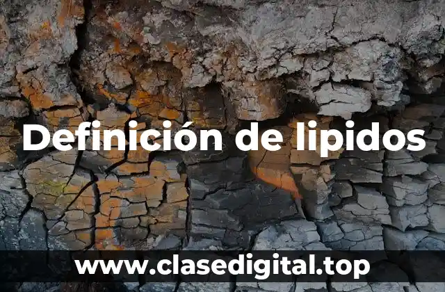 📗 Definición técnica de lípidos