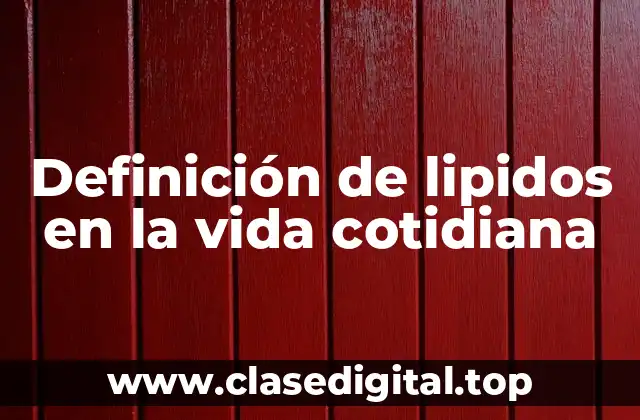 Definición de lipidos en la vida cotidiana
