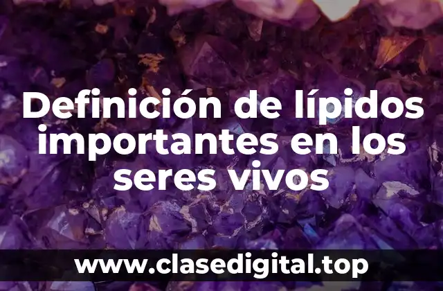 Ejemplos de lípidos