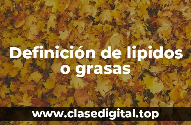 Definición de lipidos o grasas