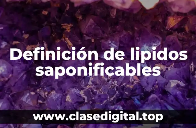 Definición de lipidos saponificables