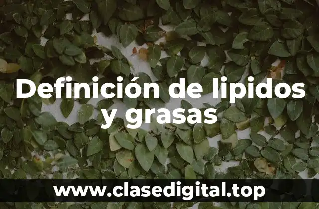 Definición de lipidos y grasas